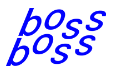 Boss & Boss